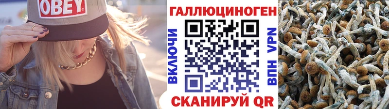 Галлюциногенные грибы Psilocybine cubensis  Купить  Михайловка 